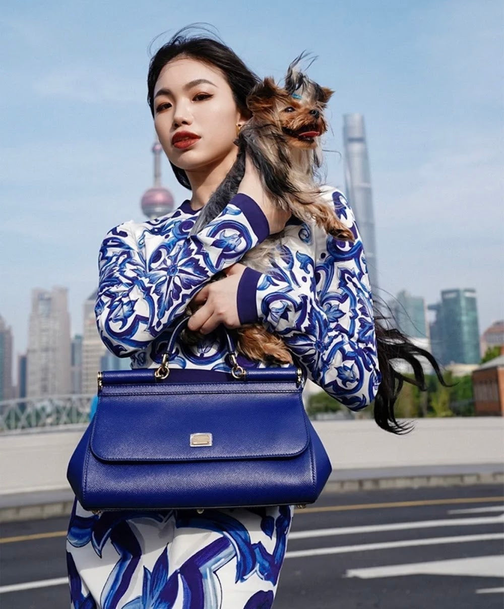 Dragons Bags DGn Luxury Bag --93694