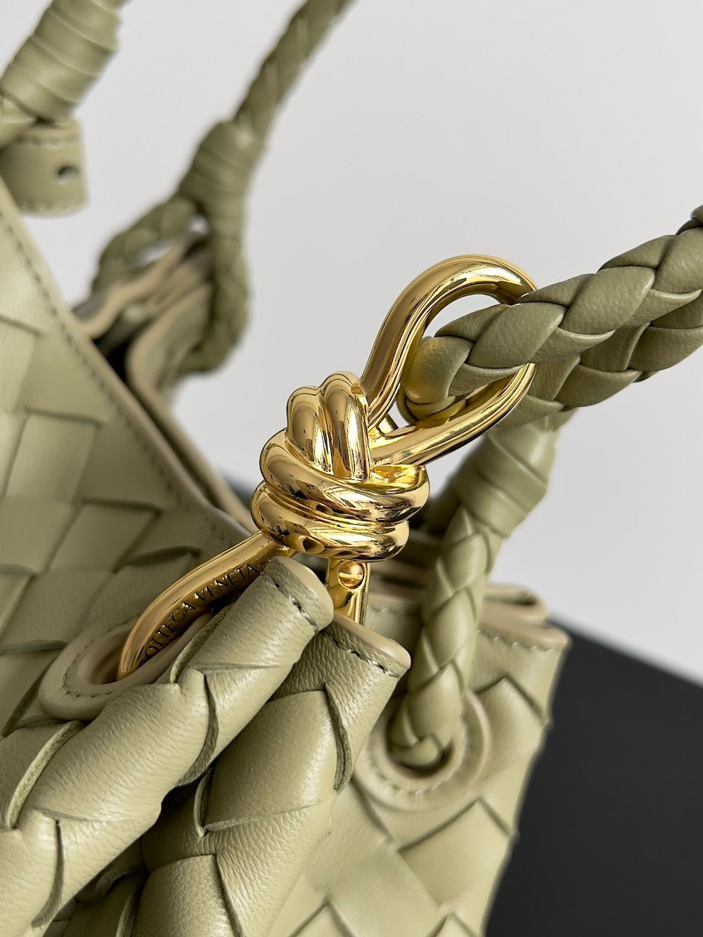 Dragons Bags Bottegan Luxury Bag --91089