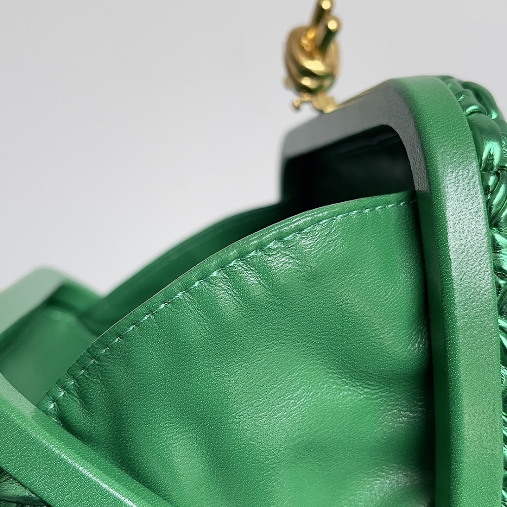 Dragons Bags Bottegan Luxury Bag --90519