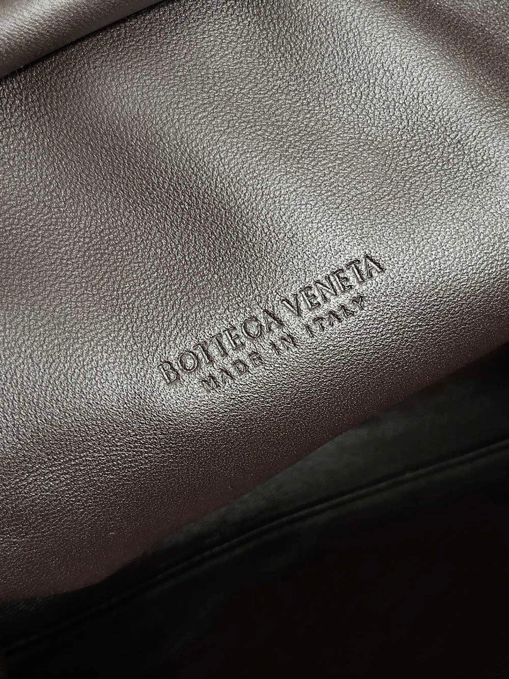 Dragons Bags Bottegan Luxury Bag --91234