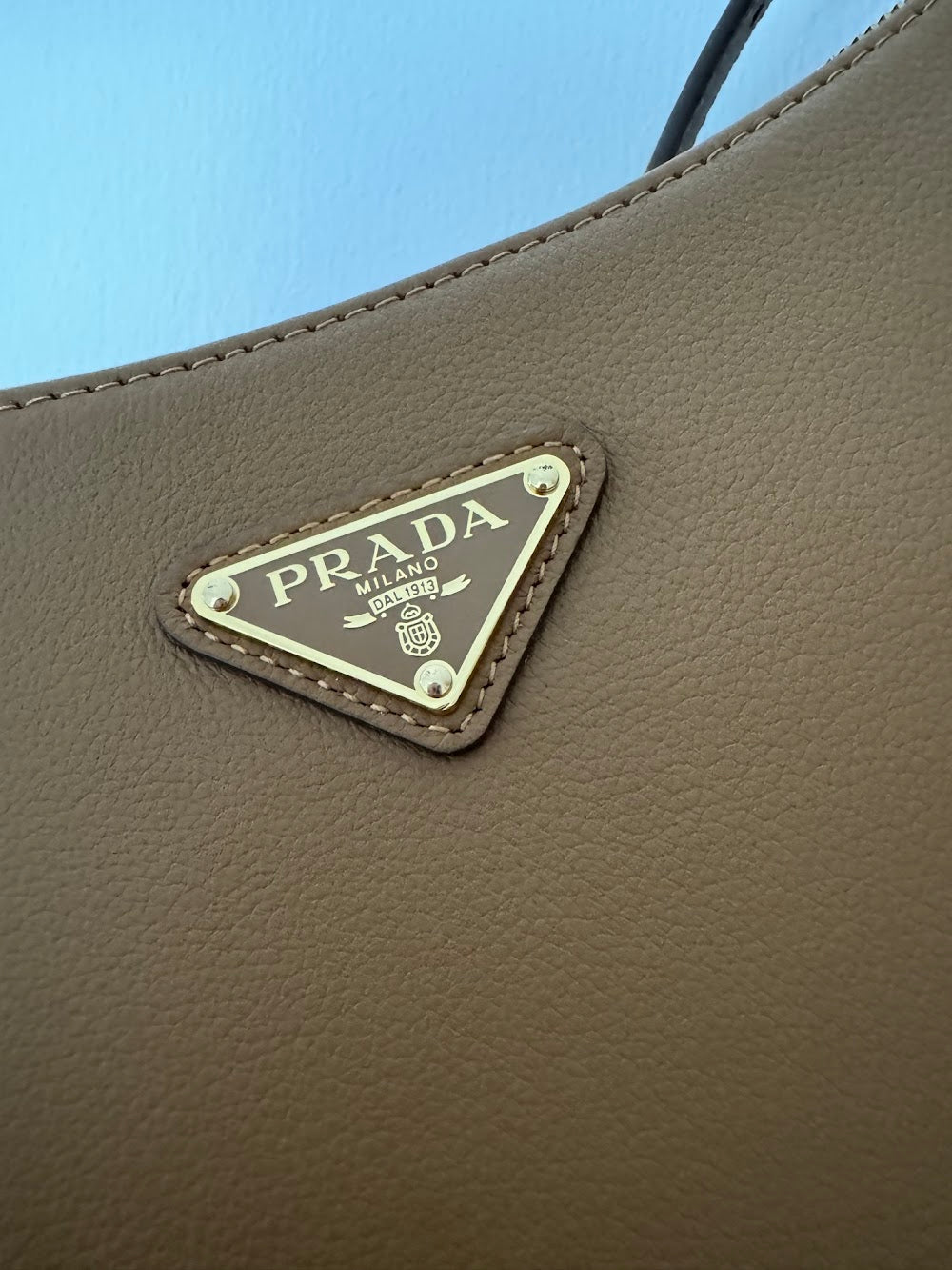 Dragons Bags Pradn Luxury Bag --102555