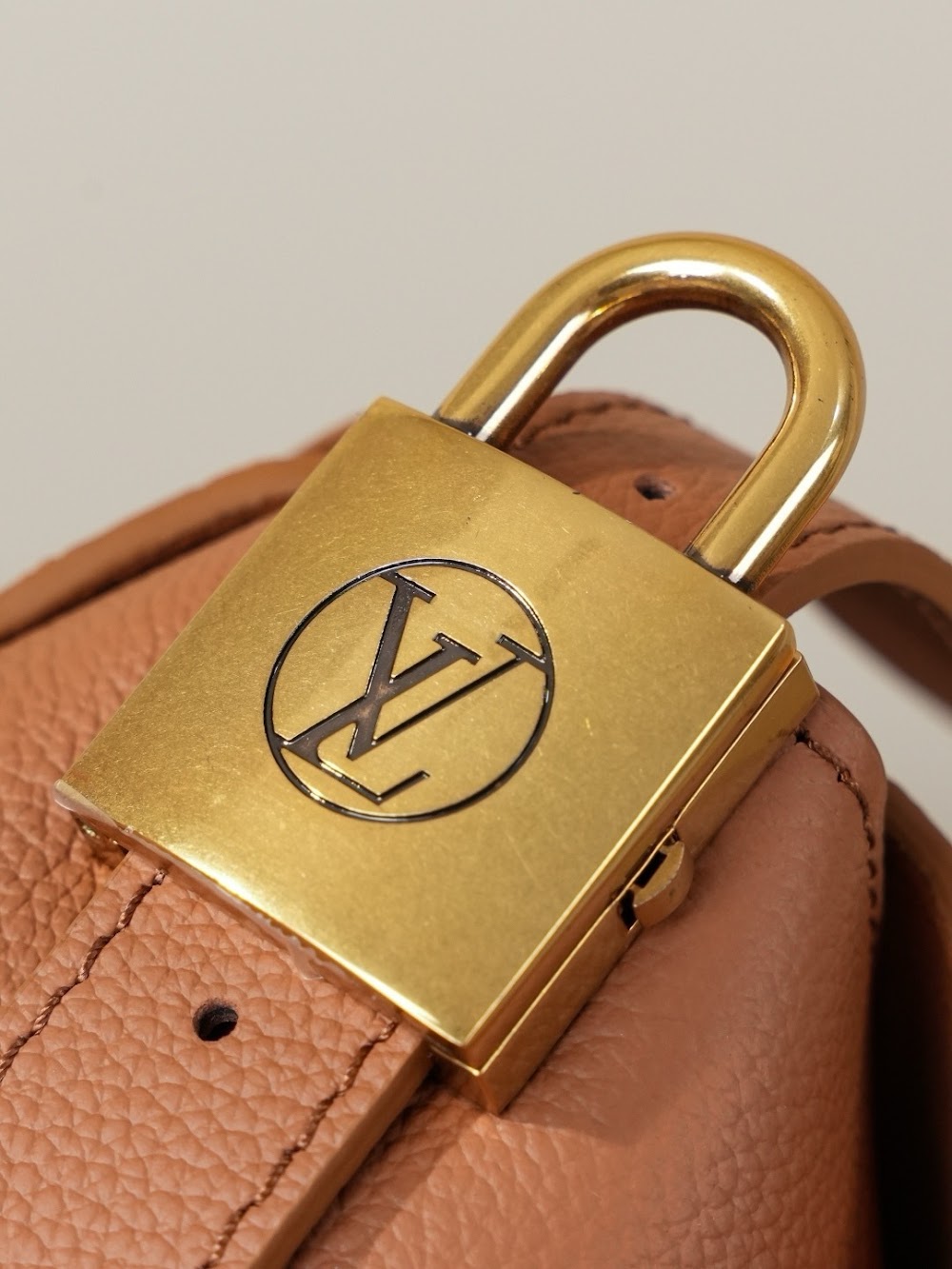 Dragons Bags LVn Luxury Bag --79080