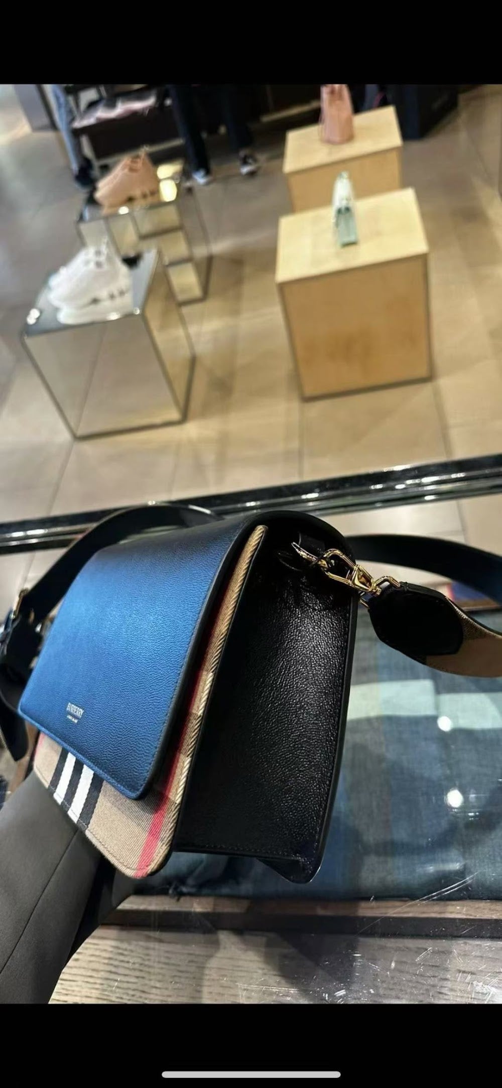 Dragons Bags Burberryn Luxury Bag --92932