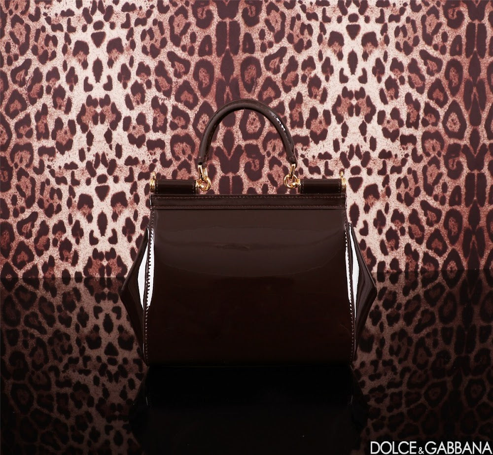 Dragons Bags DGn Luxury Bag --93639