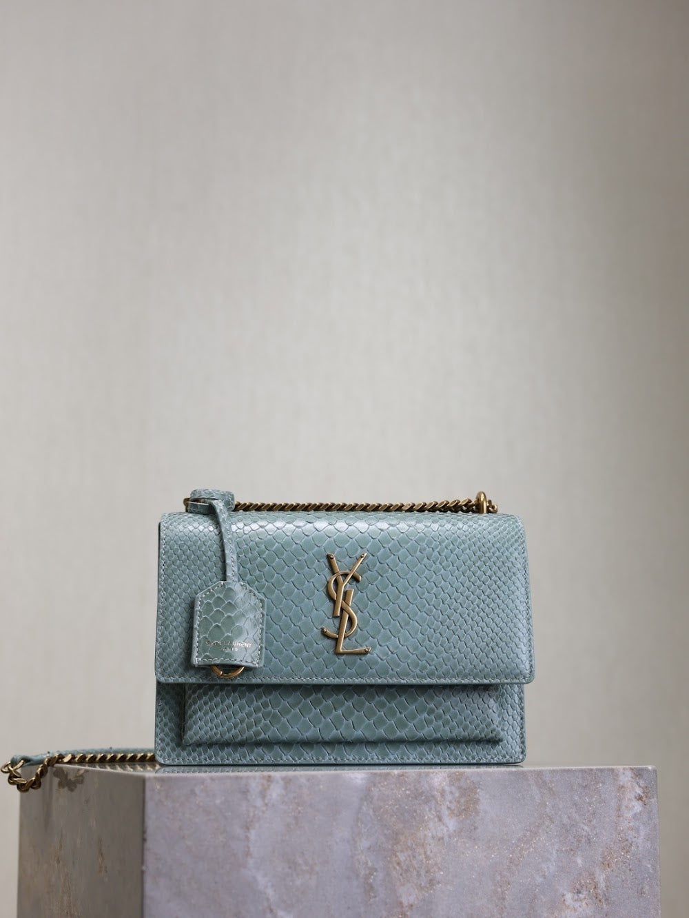 Dragons Bags YSLn Luxury Bag --119172