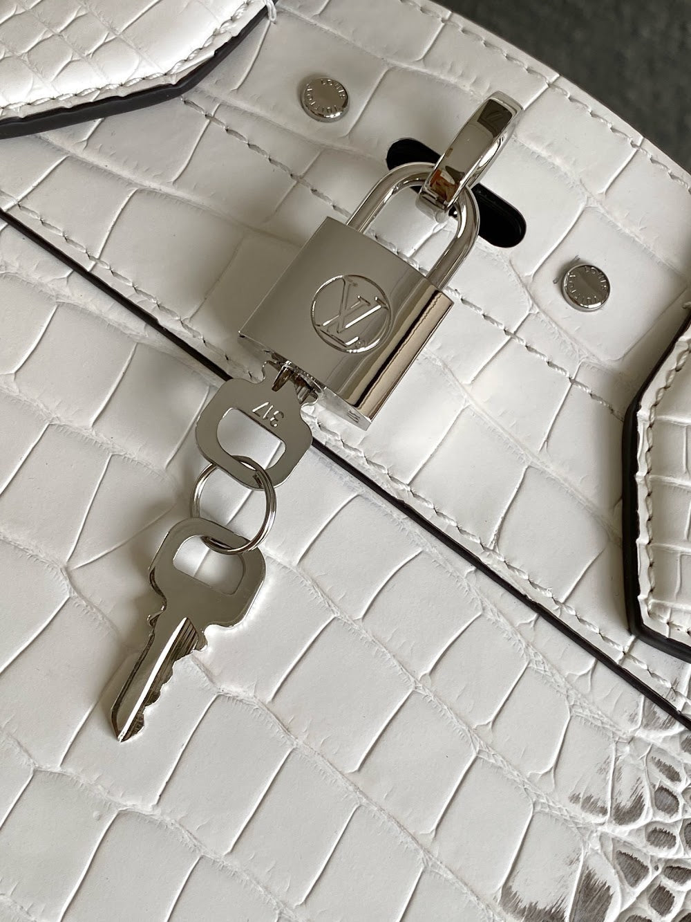 Dragons Bags ln Luxury Bag --96204