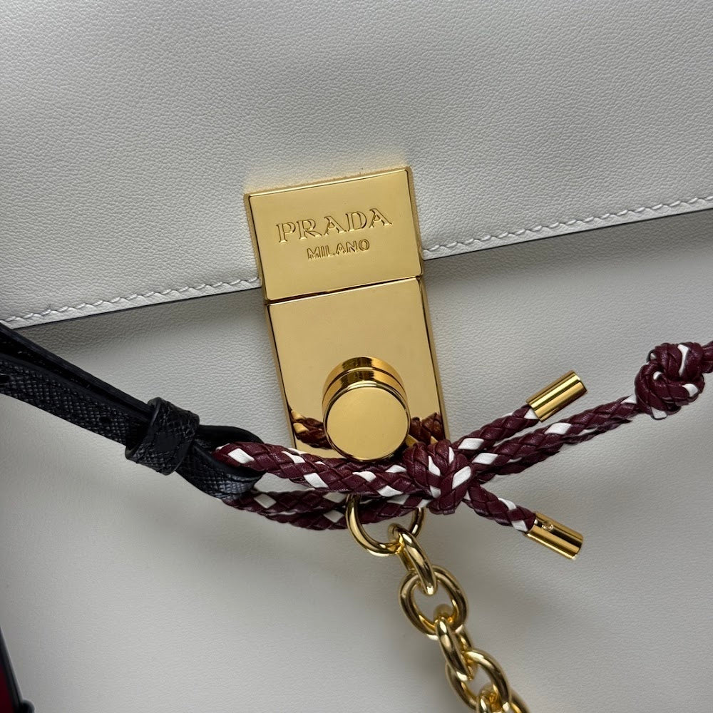 Dragons Bags Pradn Luxury Bag --102020
