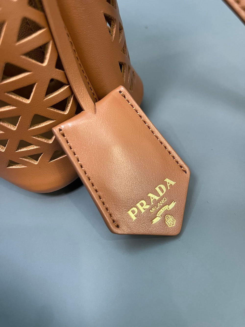 Dragons Bags Pradn Luxury Bag --102051
