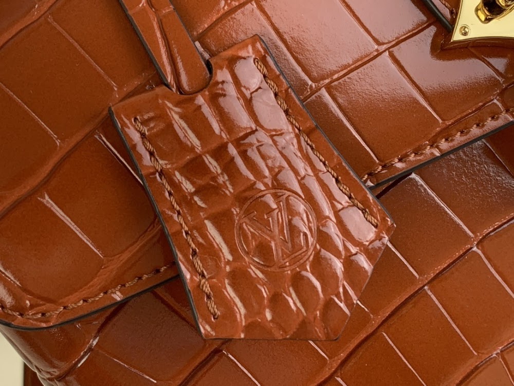 Dragons Bags ln Luxury Bag --56396