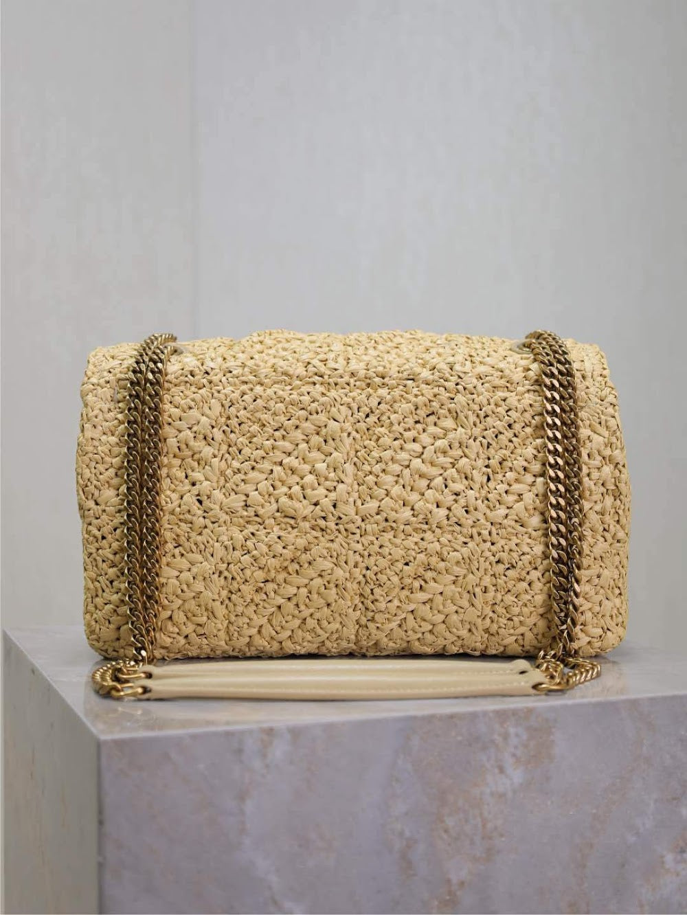 Dragons Bags YSLn Luxury Bag --120242