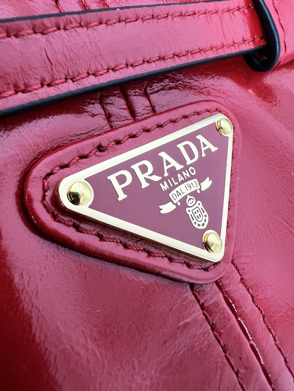 Dragons Bags Pradn Luxury Bag --102472