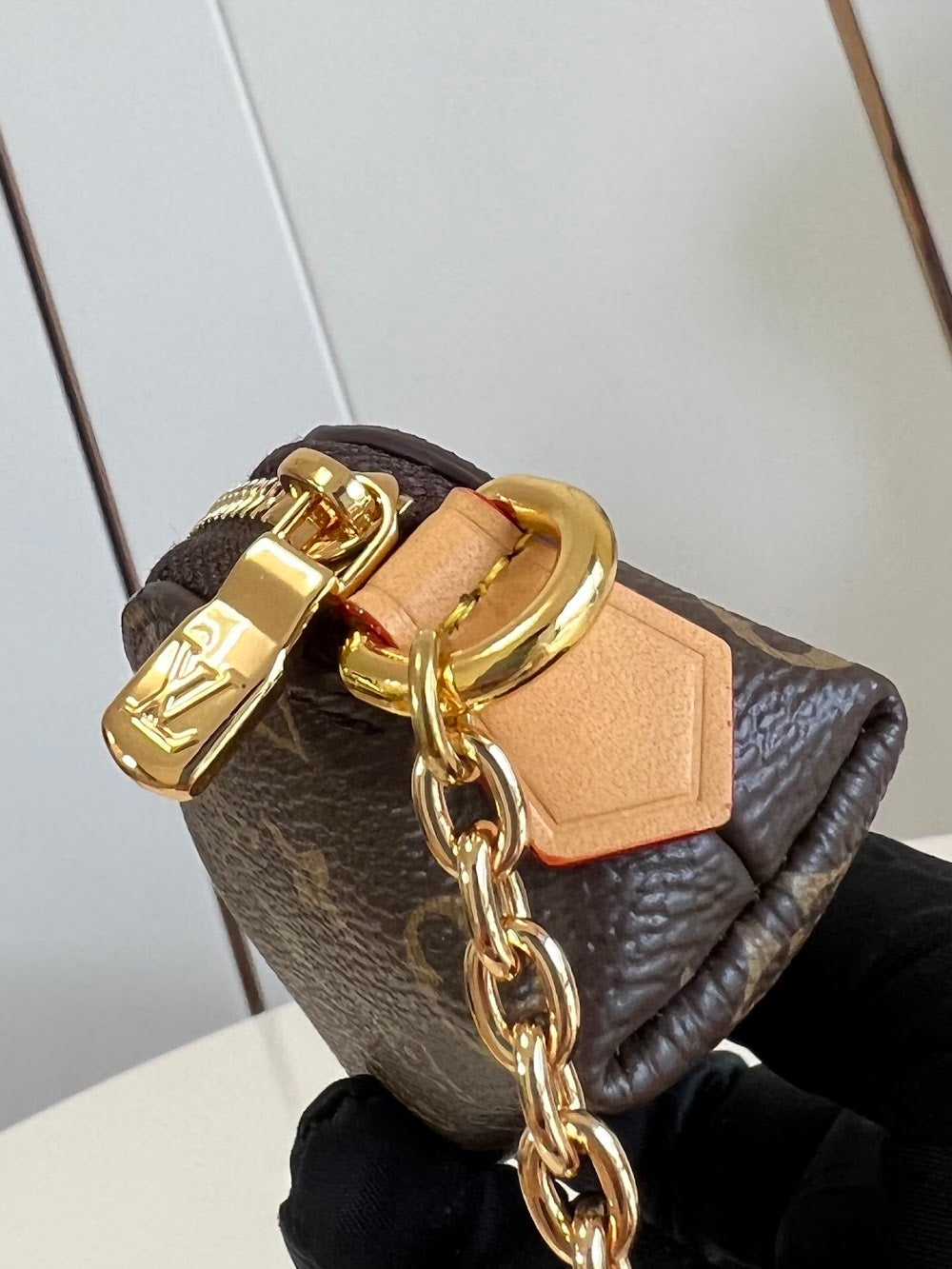 Dragons Bags ln Luxury Bag --96882