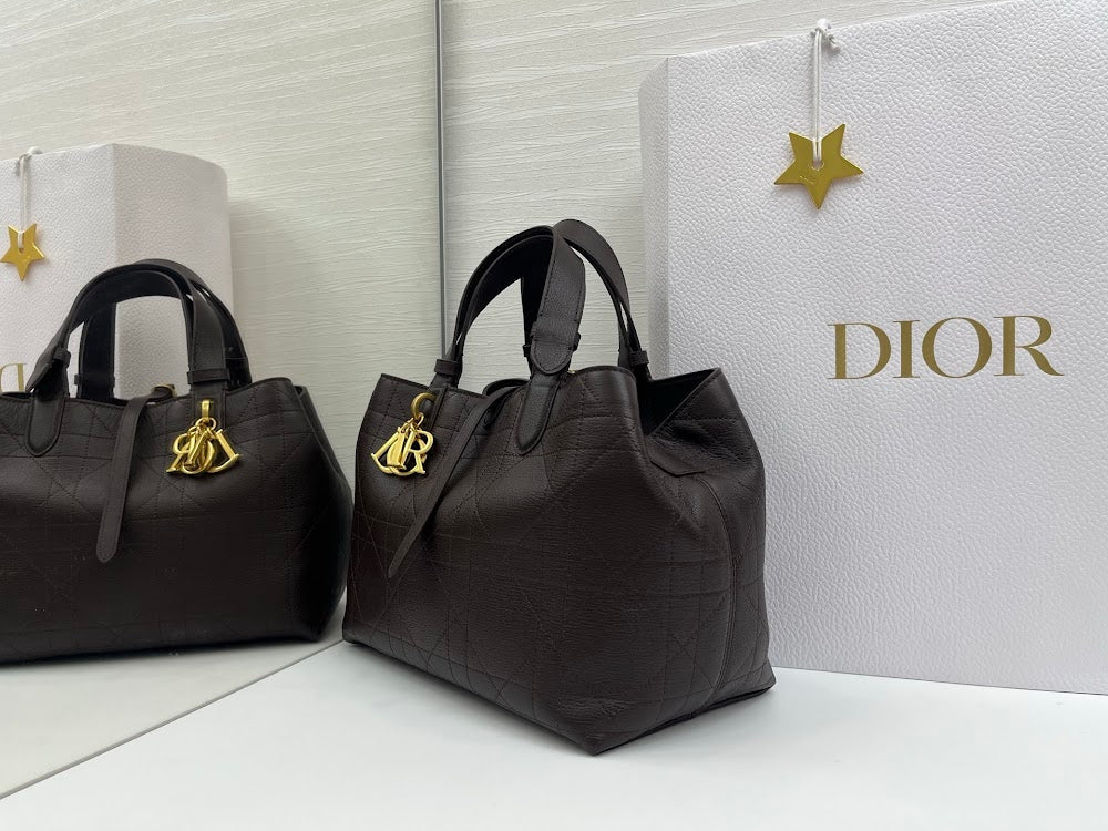 Dragons BagsDiorn Luxury Bag --115388