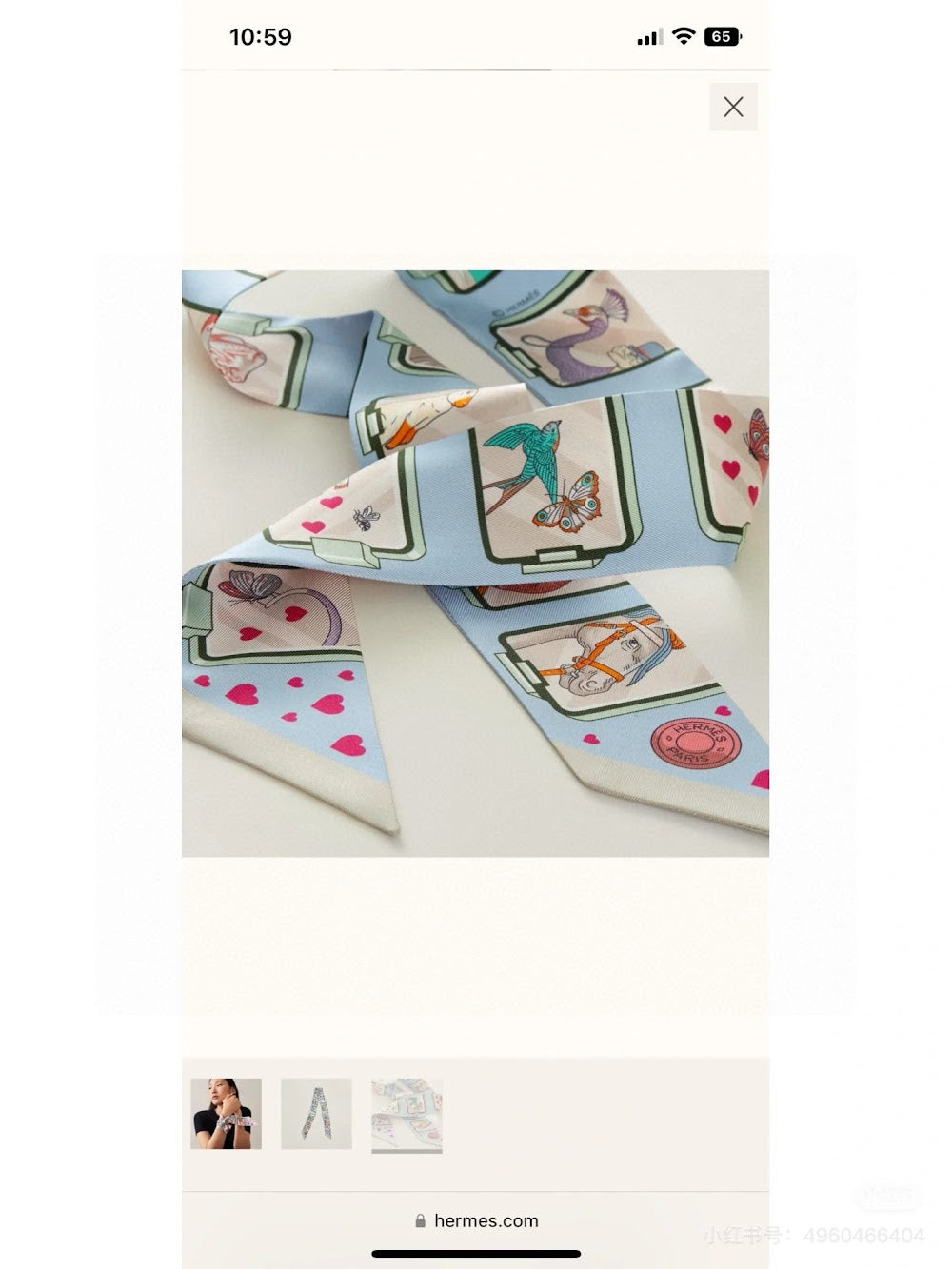 Dragons Bags Premium Designer Scarf --99332