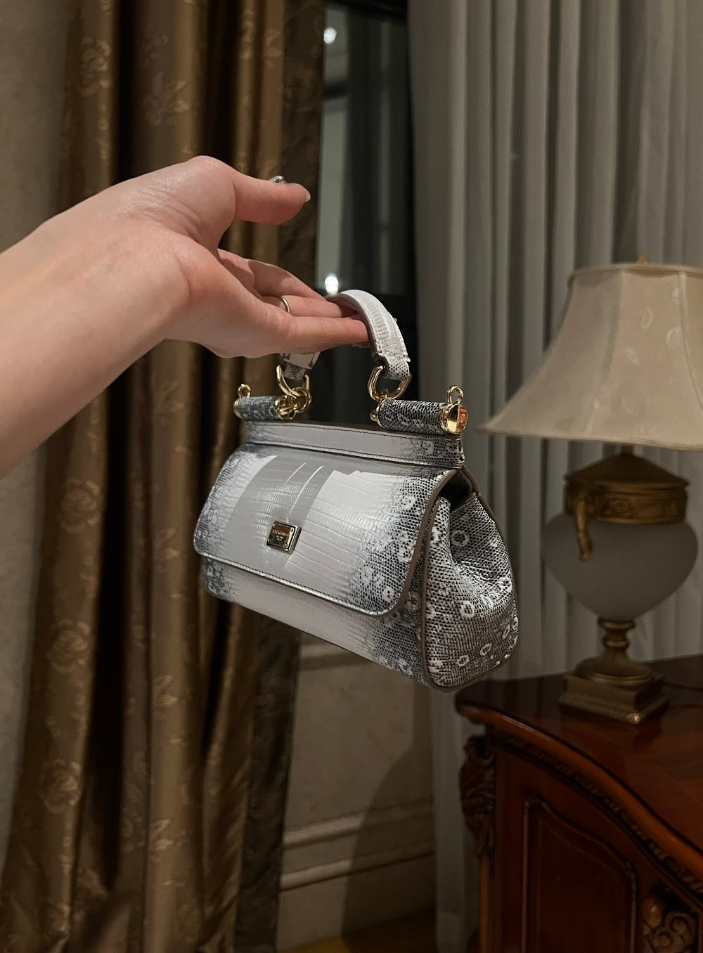 Dragons Bags DGn Luxury Bag --93677