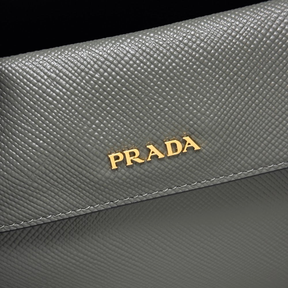 Dragons Bags Pradn Luxury Bag --102200