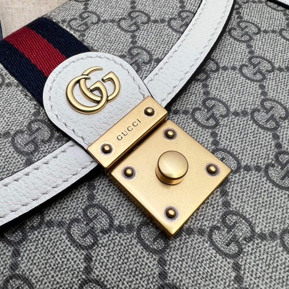 Dragons Bags Guccin Luxury Bag --95455