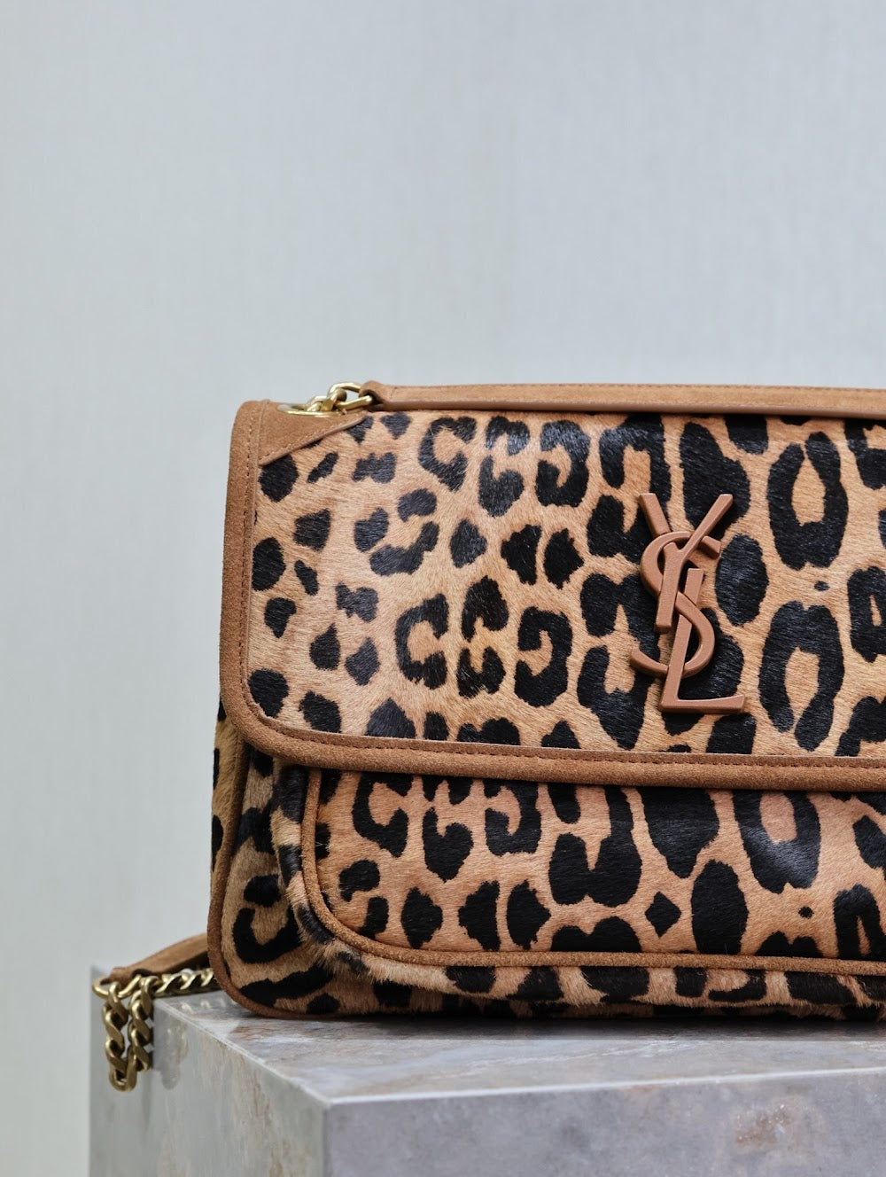 Dragons Bags YSLn Luxury Bag --119649
