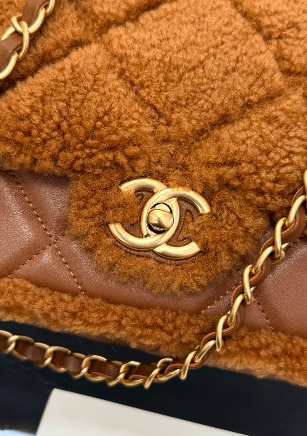 Dragons Bags CHn Luxury Bag --112848