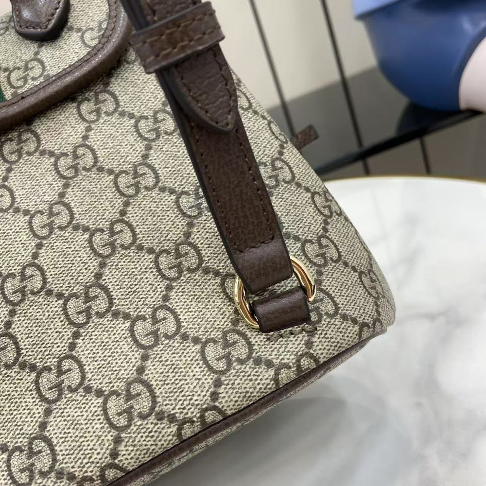 Dragons Bags Guccin Luxury Bag --94868