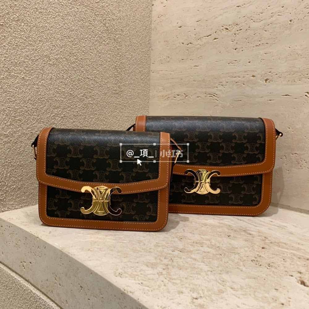 Dragons Bags Celine Luxury Bag --112385