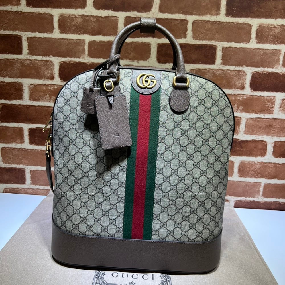 Dragons Bags Guccin Luxury Bag --94743