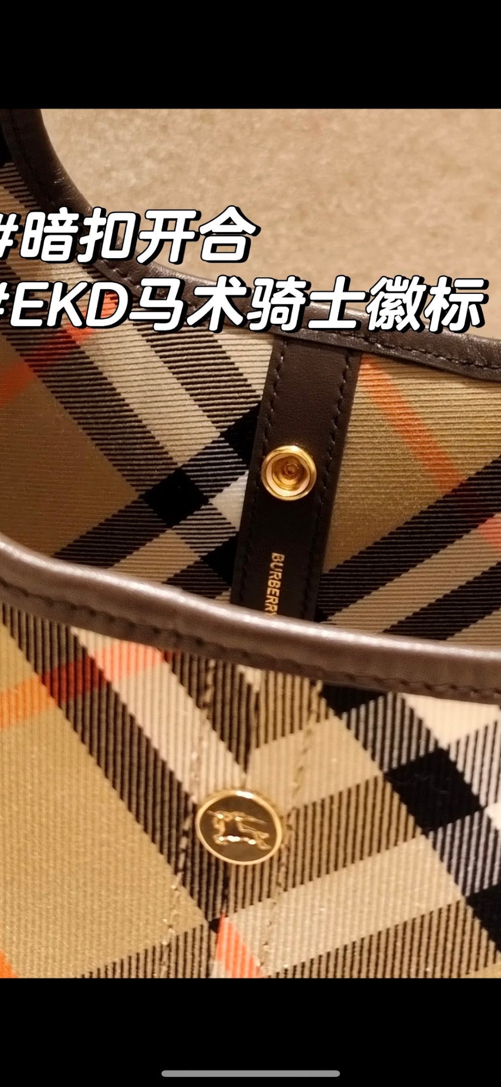 Dragons Bags Burberryn Luxury Bag --91836