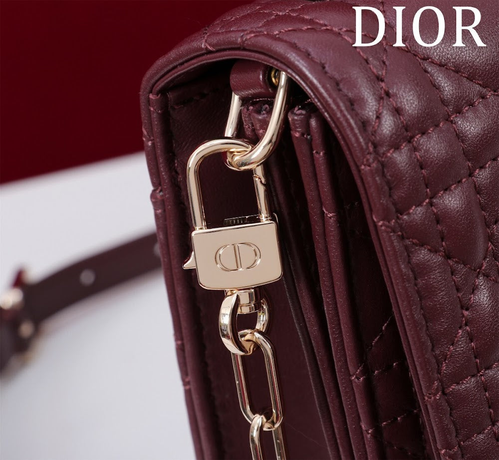 Dragons BagsDiorn Luxury Bag --116301