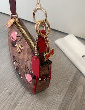new-luxury-designer-bags-nm6490