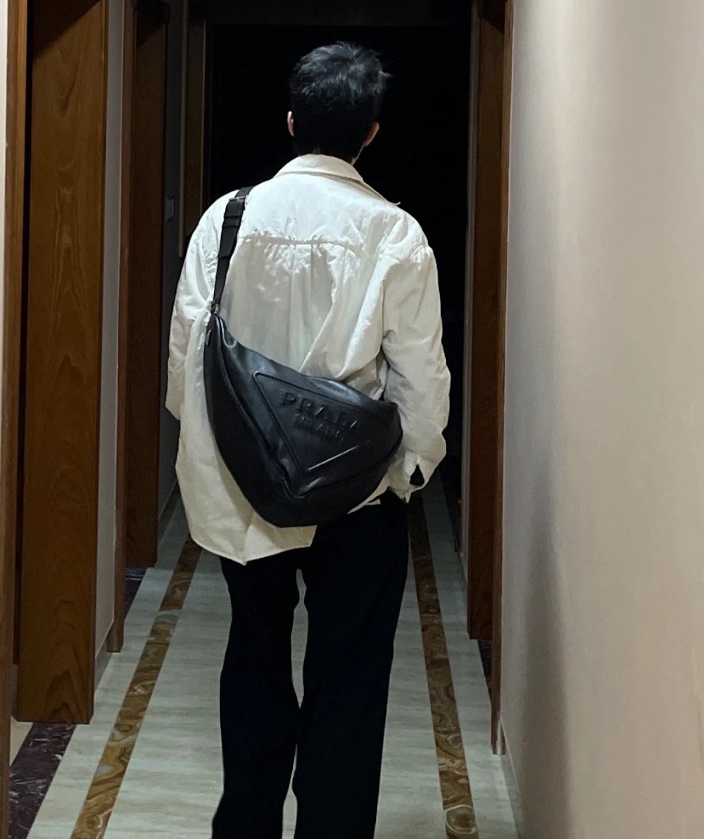 Dragons Bags Pradn Luxury Bag --102639