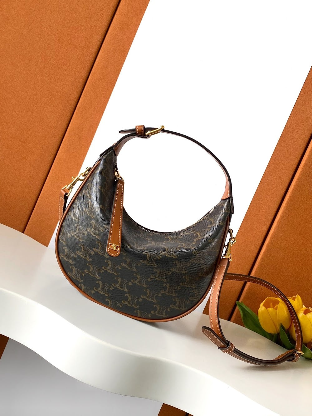 Dragons Bags Celine Luxury Bag --112074