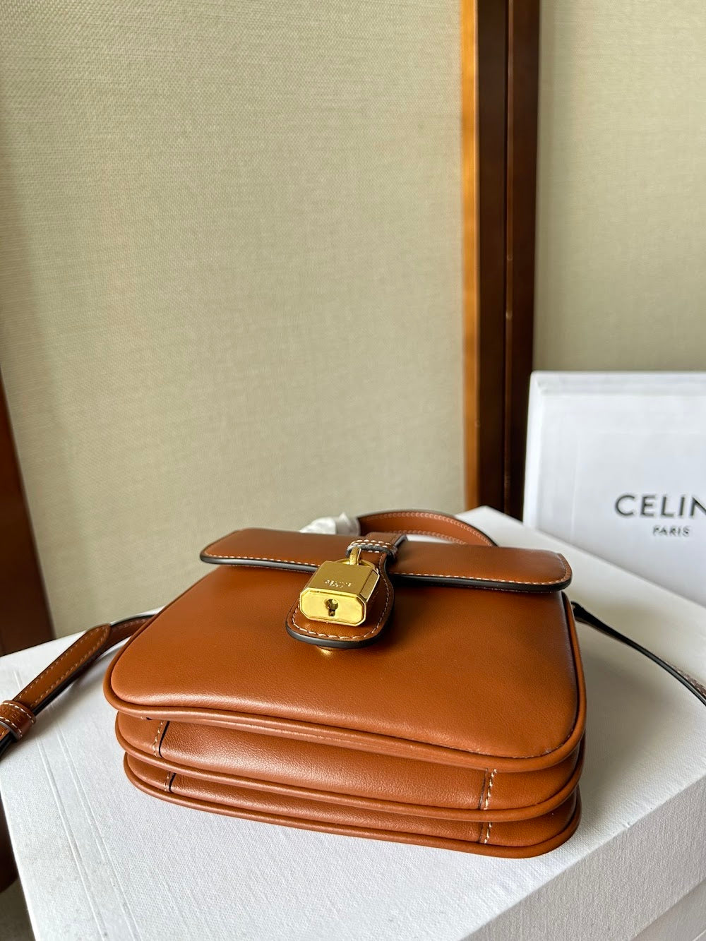 Dragons Bags Celine Luxury Bag --112528