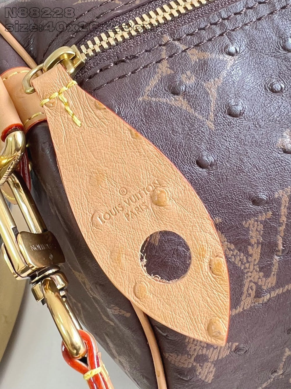 Dragons Bags ln Luxury Bag --97503