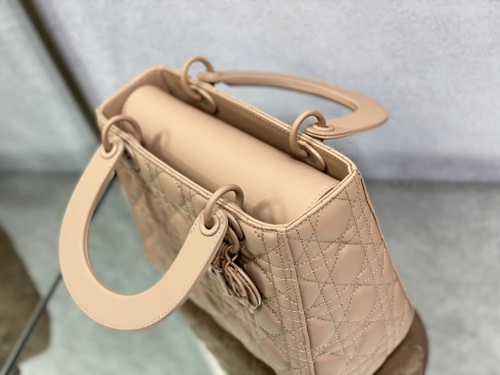 Dragons BagsDiorn Luxury Bag --116153