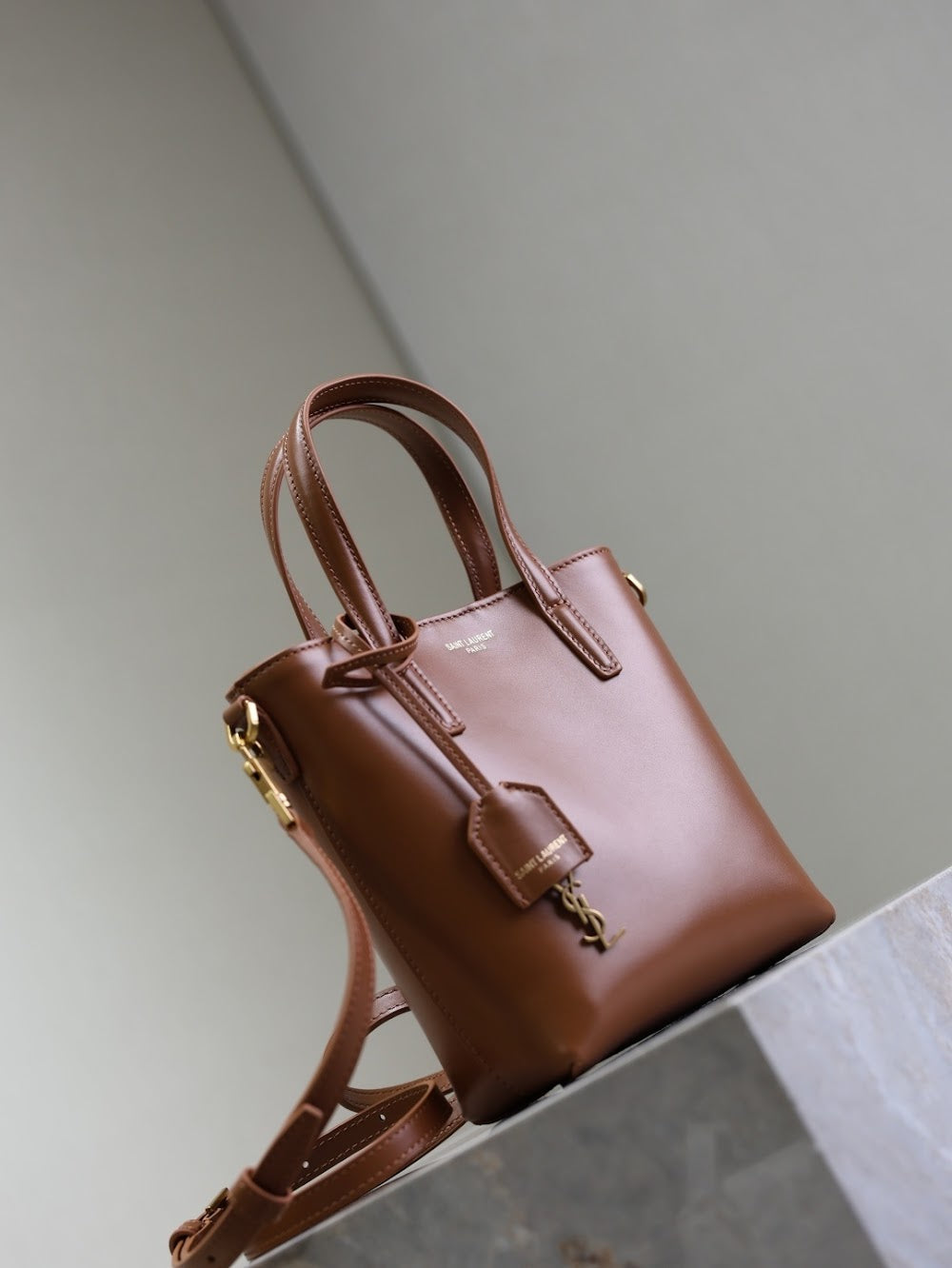 Dragons Bags YSLn Luxury Bag --119245