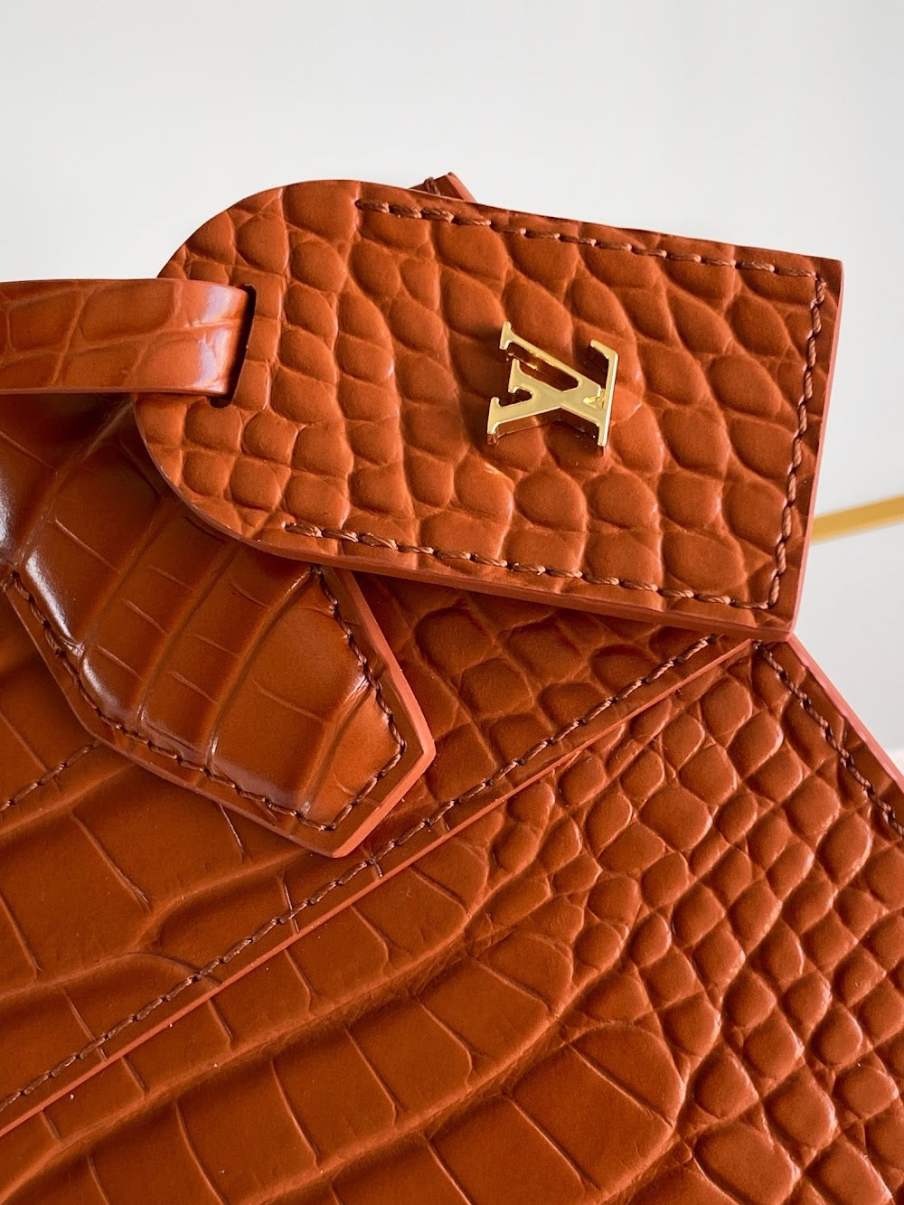 Dragons Bags ln Luxury Bag --96197