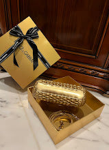 new-designer-premium-bags-nm6893
