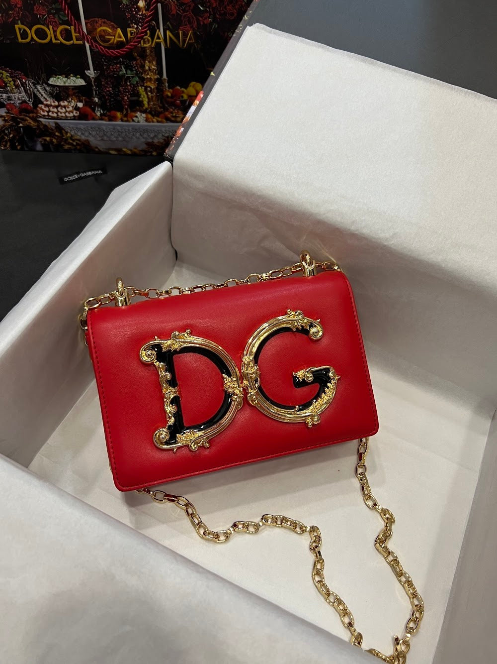 Dragons Bags DGn Luxury Bag --93877