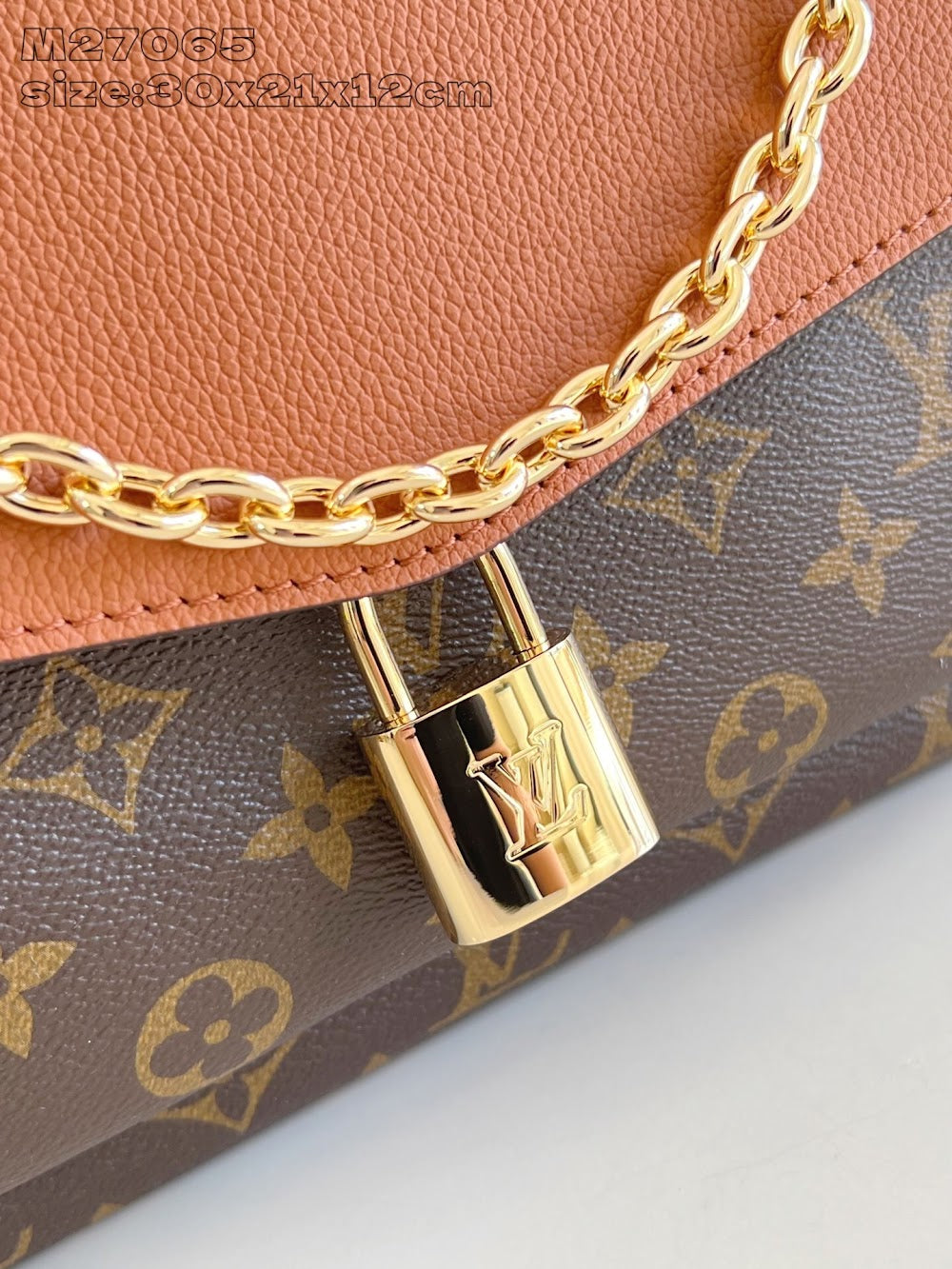 Dragons Bags ln Luxury Bag --96431