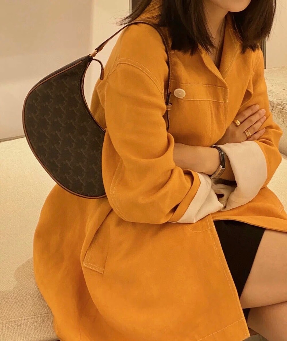 Dragons Bags Celine Luxury Bag --111968