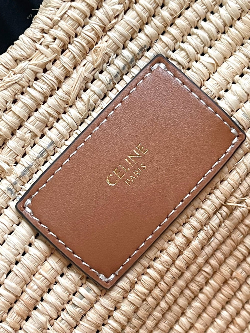 Dragons Bags Celine Luxury Bag --112324