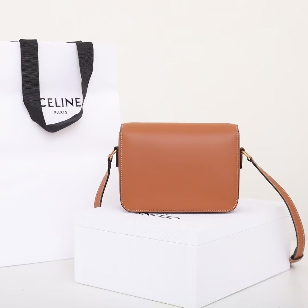 Dragons Bags Celine Luxury Bag --112573