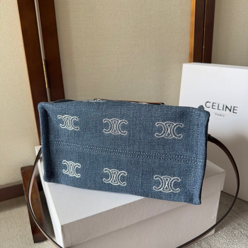 Dragons Bags Celine Luxury Bag --112231