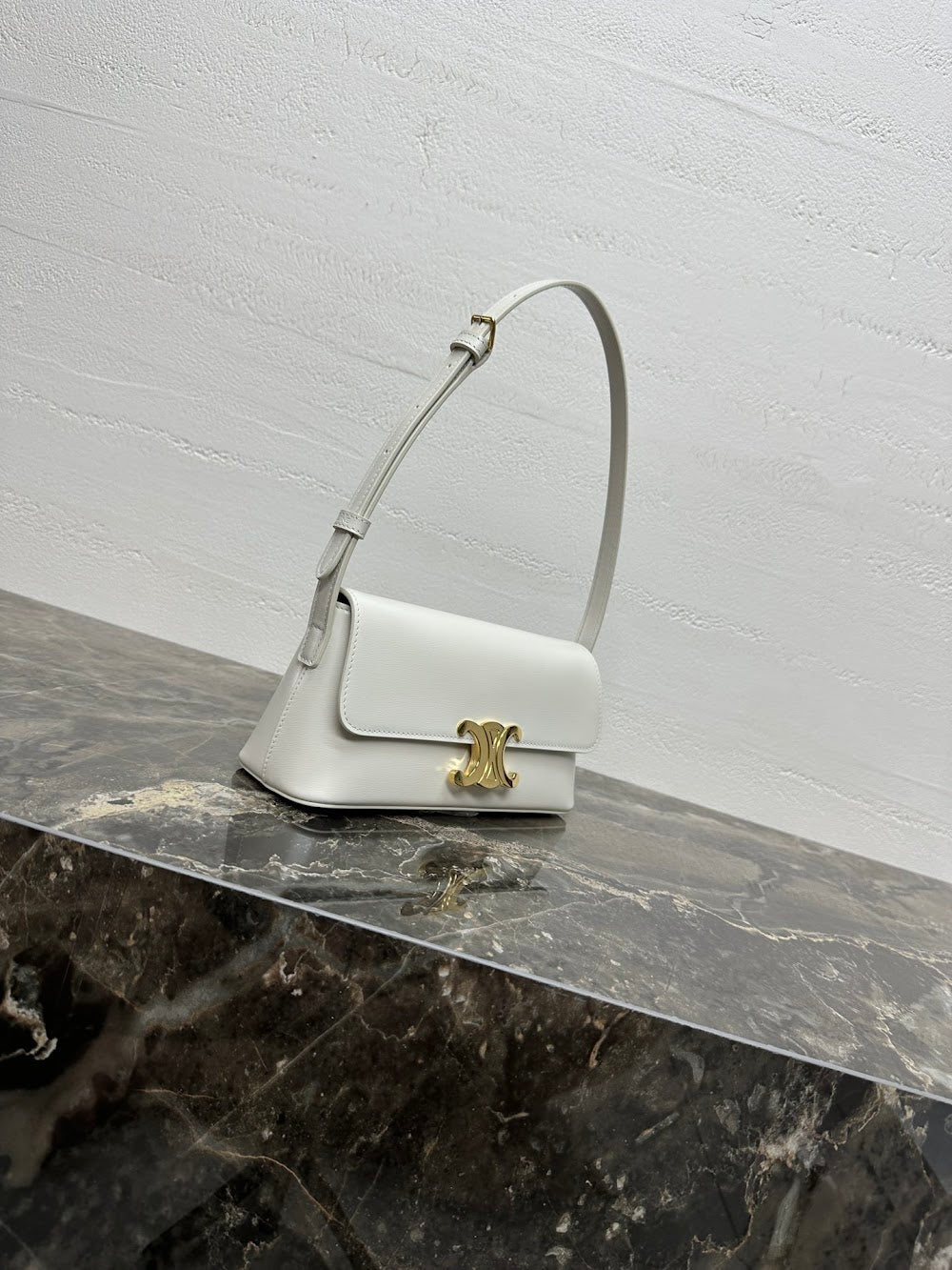 Dragons Bags Celine Luxury Bag --112520
