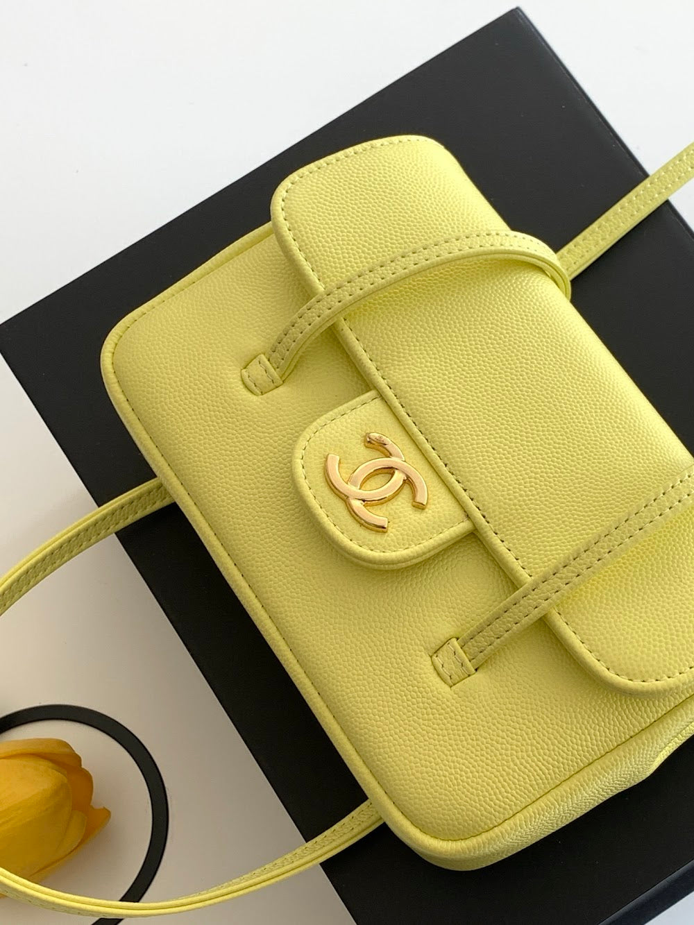 Dragons BagsCHn Luxury Bag --113899
