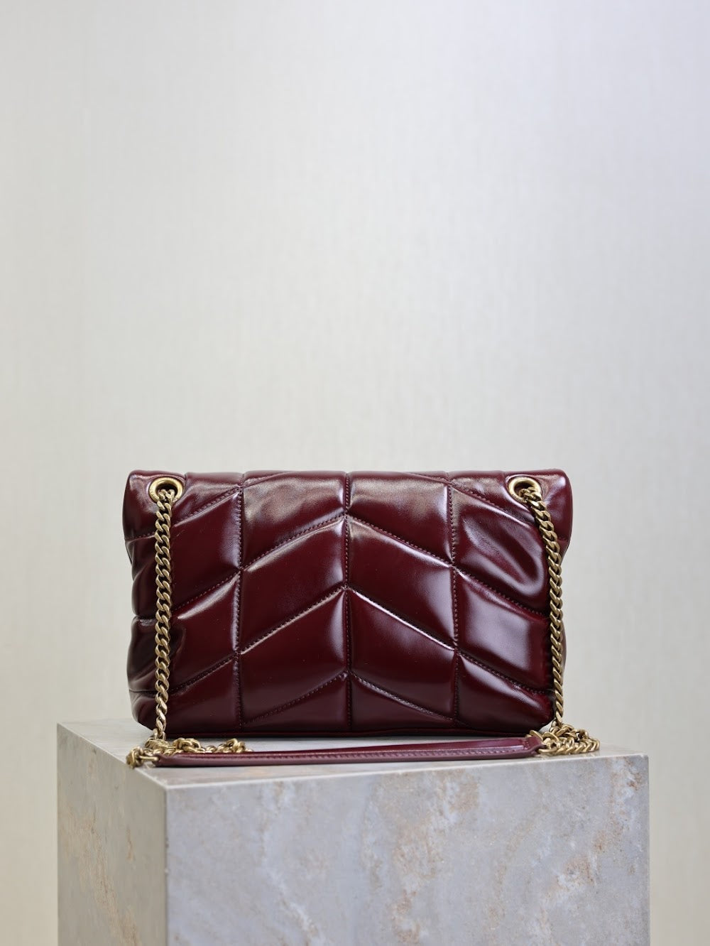 Dragons Bags YSLn Luxury Bag --119719