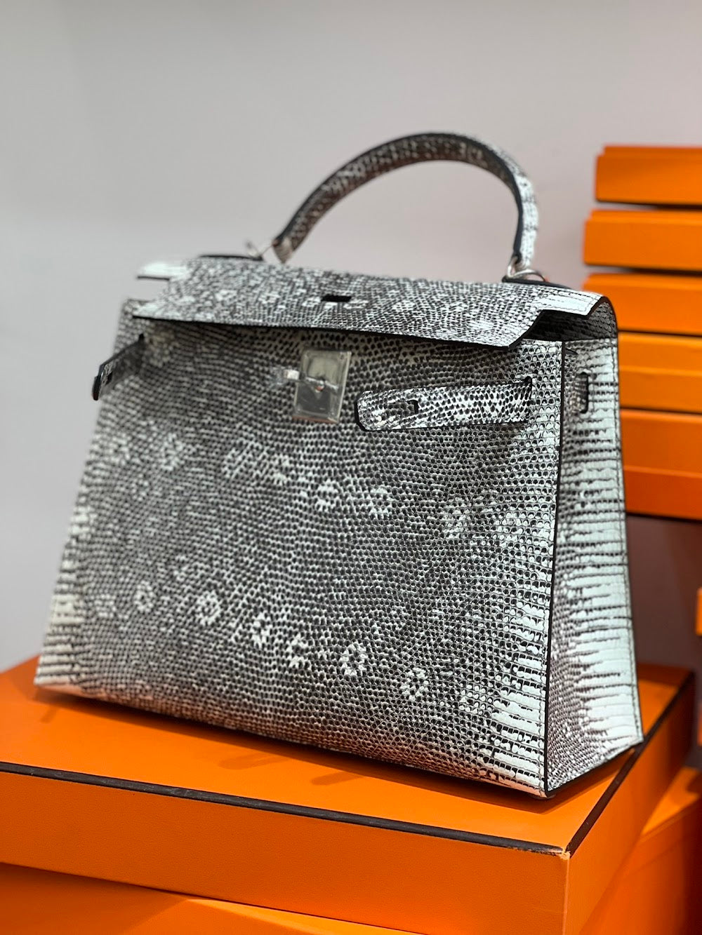 Dragons BagsHermesn Luxury Bag --117123
