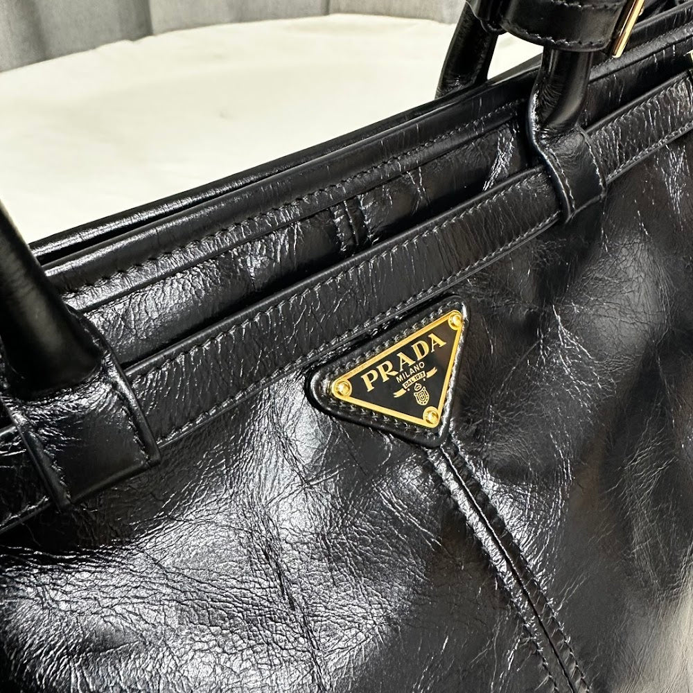 Dragons Bags Pradn Luxury Bag --102010