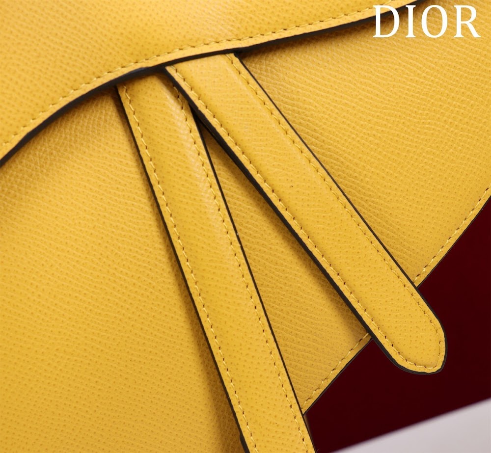 Dragons BagsDiorn Luxury Bag --116493