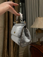 new-luxury-designer-bags-nm6900